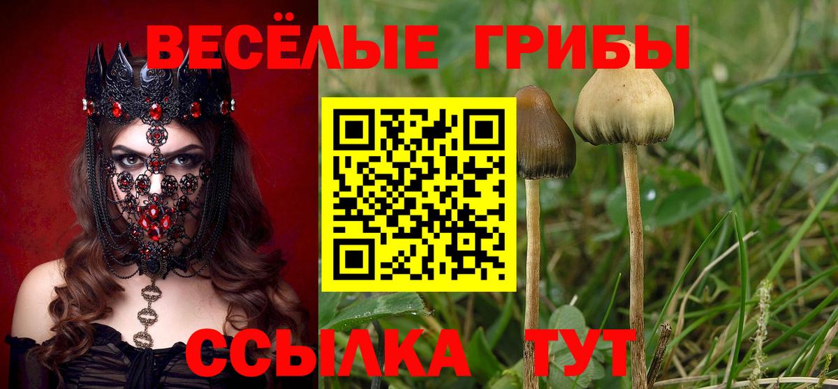 Галлюциногенные грибы Psilocybine cubensis Нижневартовск